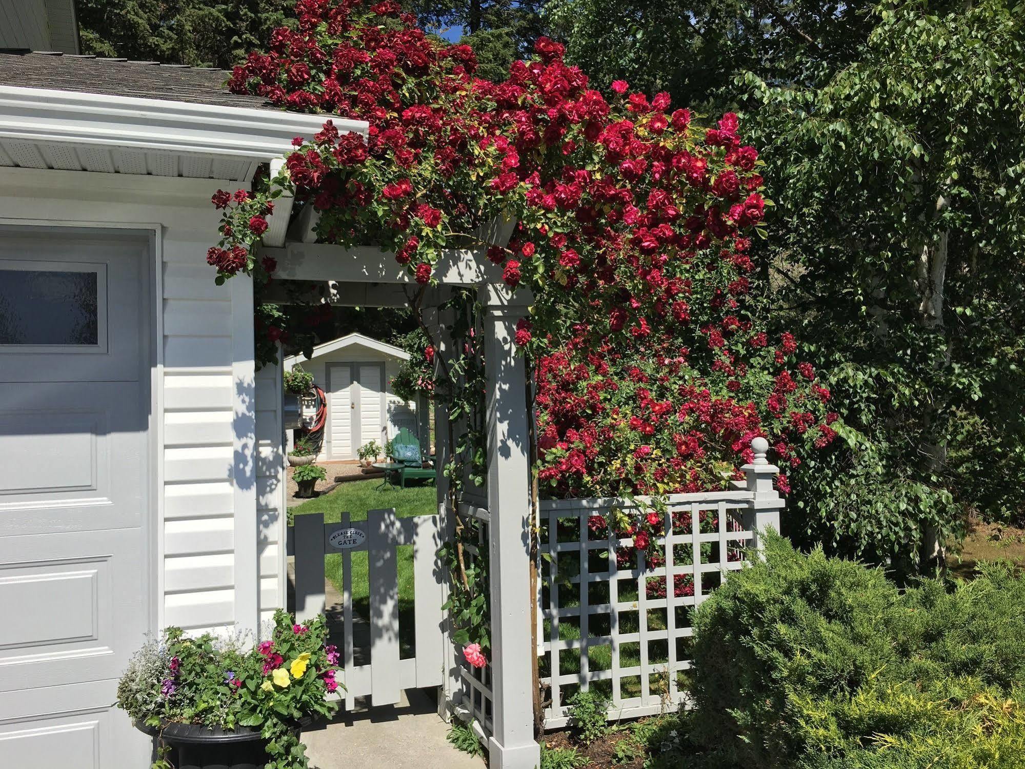 Alexandria House Bed & Breakfast 웨스트 켈로나 외부 사진